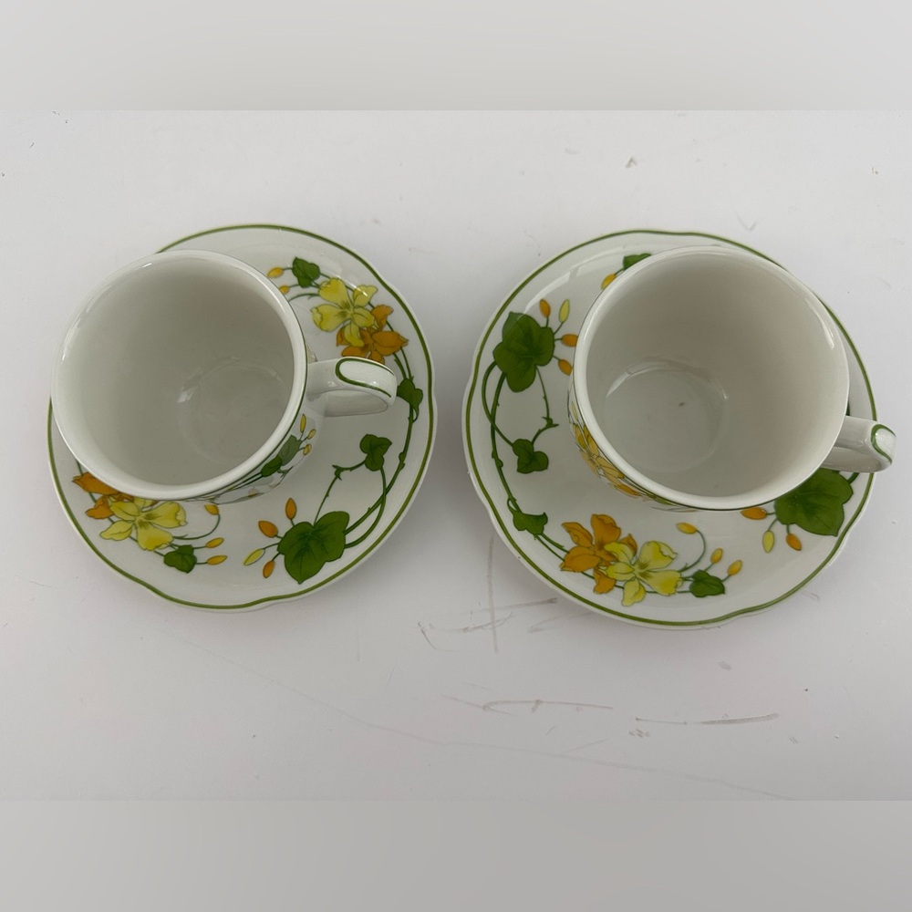 Villeroy & Boch Geranium Cup & Saucer - set of (2)